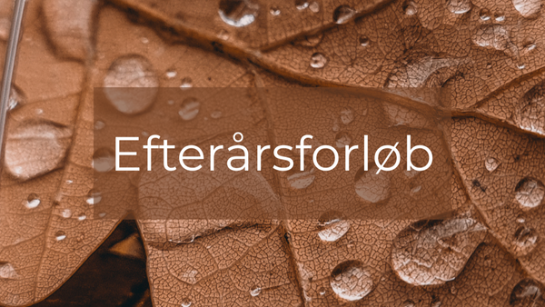 4 ugers efterårsforløb- restorativ yoga & nada øreakupunktur, opstart 22. Oktober